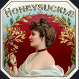1900_cigar_honeysuckle_4.25x4.25_dlw, Honeysuckle, American Lithograph CO, Lithograph, 1900, Gallery East, Gallery East Network