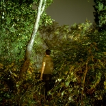 around_the_bend_7a721bff49717466-L47003, Around The Bend 2012, Digital Chromogenic Print, Daniel Baird-Miller, Baird-Miller, Gallery East, Gallery East Network
