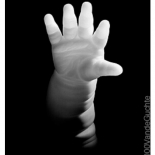 vandeguchte_baby_arm_003ww, Baby Arm, Photographs, Chris Vandeguchte, New York Photographer, Gallery East, Vandeguchte, Gallery East Network
