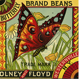 1890c_label_butterfly_stringbeans_4x10.5_dlw, Butterfly Brand Beans, 1890c, Lithograph, Advertising Label, Gallery East, Gallery East Network