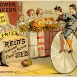 1800c_vtc_high_wheelers_3x4.75_dlw, Art Nouveau, High Wheelers, Trautmann, Bailey & Blampey, Victorian Trade Card, 1880c, Lithograph, Objets d'art, Gallery East, Objets, Gallery East Network
