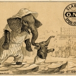 1882_vtc_jumbo_coney_island_2.75x4.25_dlw, Art Nouveau, Jumbo at Coney Island, Buck & Bidner Lith, Victorian Trade Card, c 1882, Lithograph, Objets d'art, Gallery East, Objets, Gallery East Network