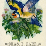 1890c_vtc_bluebird_dare_3x4.75_dlw, Art Nouveau, Bluebird, Chas Dare, Victorian Trade Card, c 1890, Lithograph, Objets d'art, Gallery East, Objets, Gallery East Network